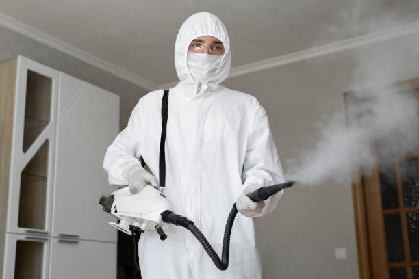 Environmental Consulting for Mold Prevention in Mechanicsville, MD